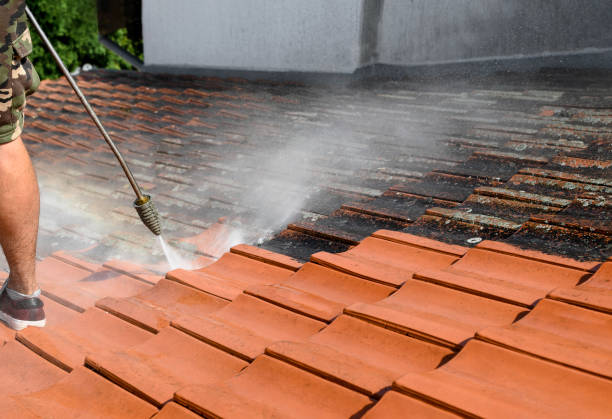 Best Residential Pressure Washing Services  in Canby, OR